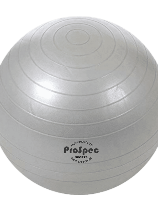 Prospec Stability Ball